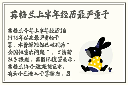 上色 app